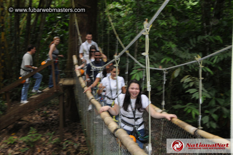 Rainforest Canopy Tours