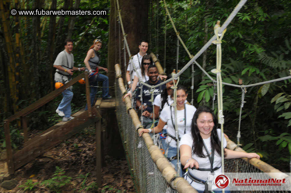 Rainforest Canopy Tours