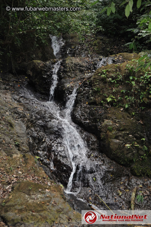 Rainforest Canopy Tours