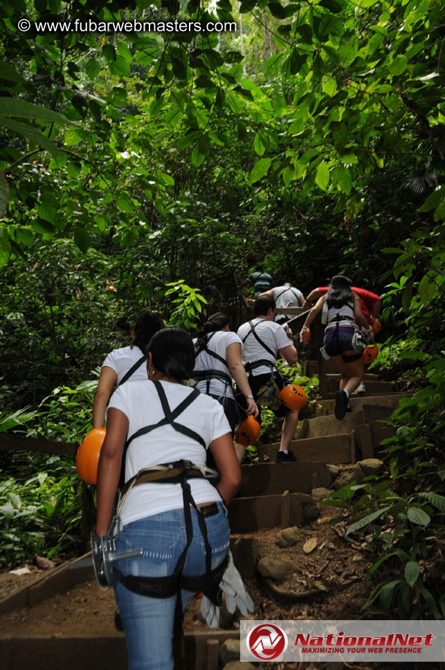 Rainforest Canopy Tours