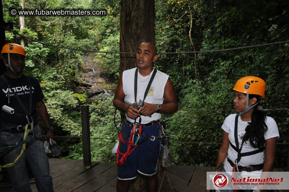 Rainforest Canopy Tours