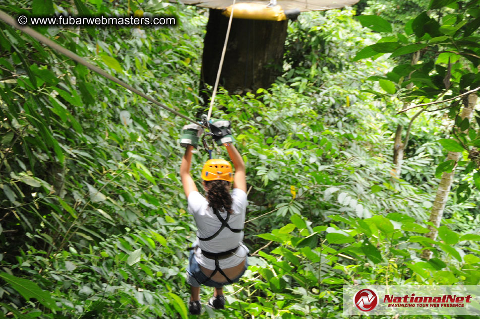 Rainforest Canopy Tours