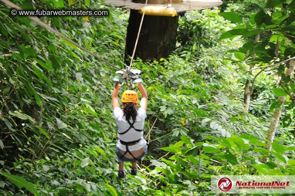 Rainforest Canopy Tours