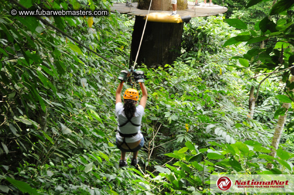 Rainforest Canopy Tours