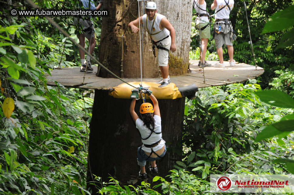 Rainforest Canopy Tours