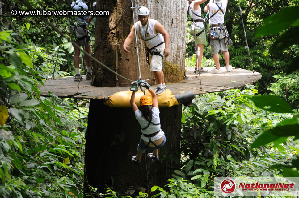 Rainforest Canopy Tours