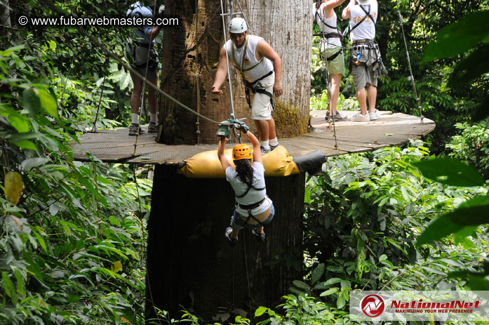 Rainforest Canopy Tours