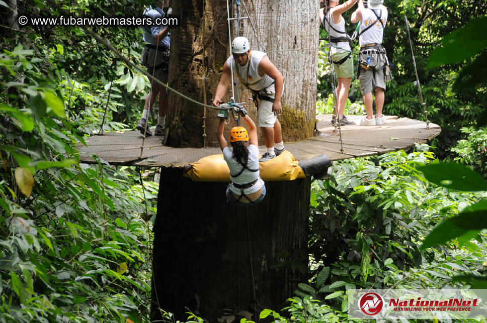 Rainforest Canopy Tours