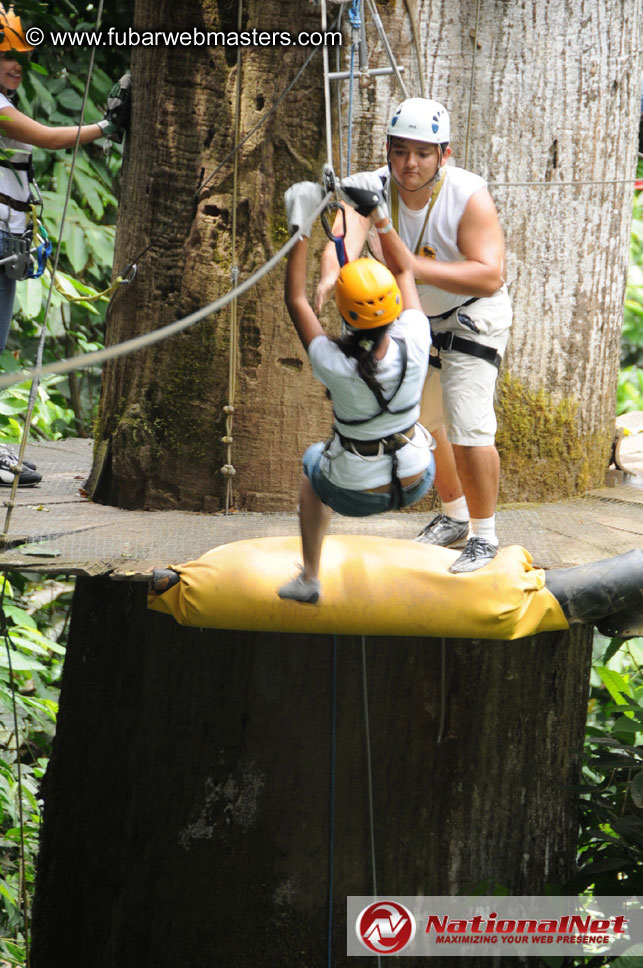 Rainforest Canopy Tours