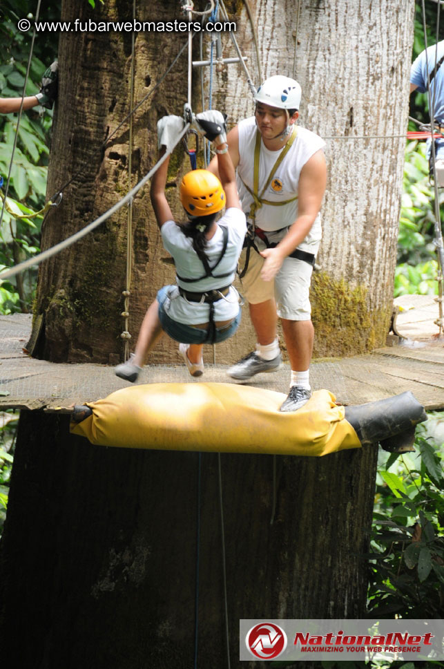 Rainforest Canopy Tours