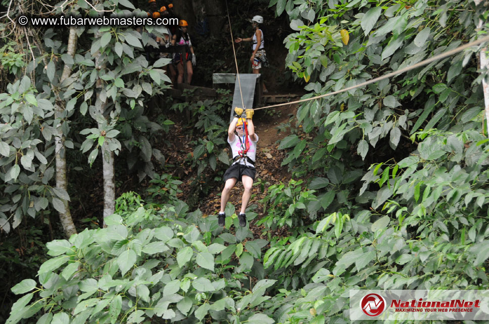 Rainforest Canopy Tours