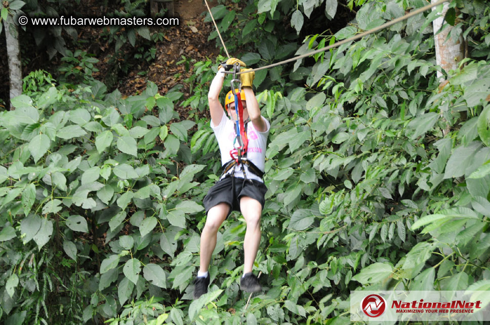 Rainforest Canopy Tours