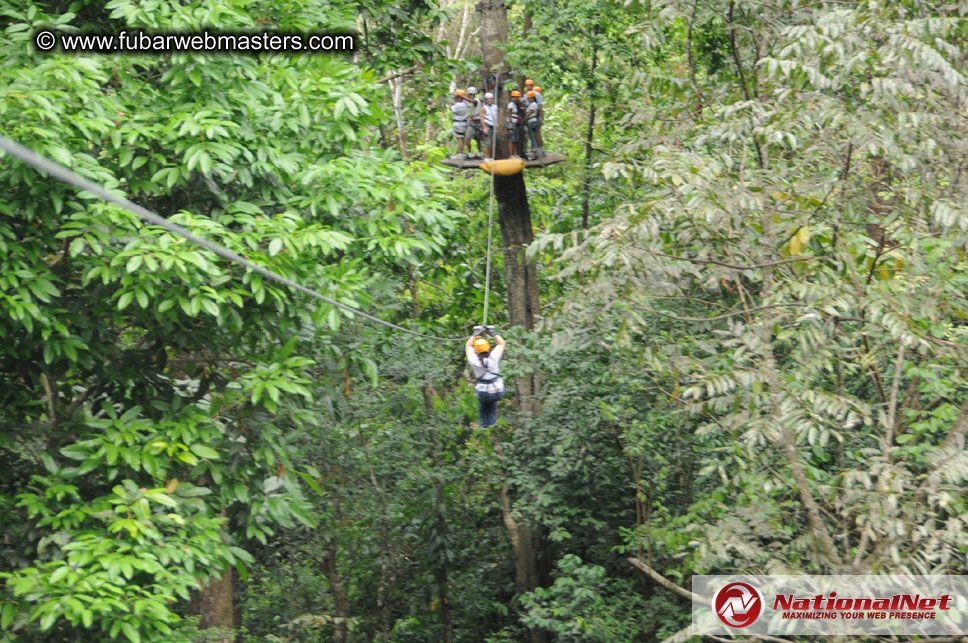 Rainforest Canopy Tours