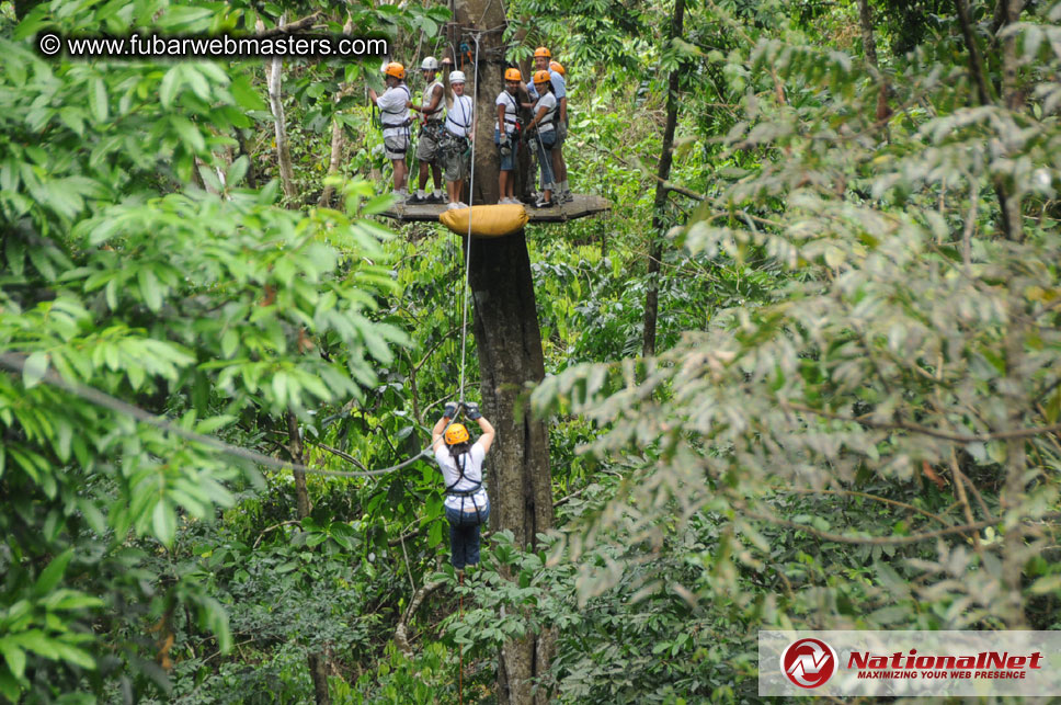 Rainforest Canopy Tours