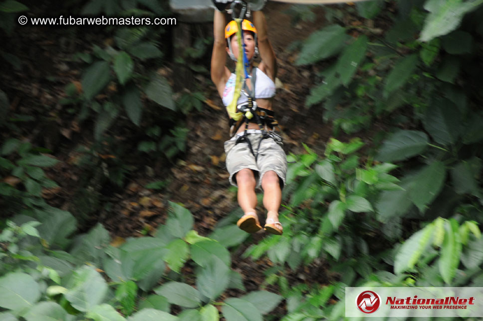 Rainforest Canopy Tours