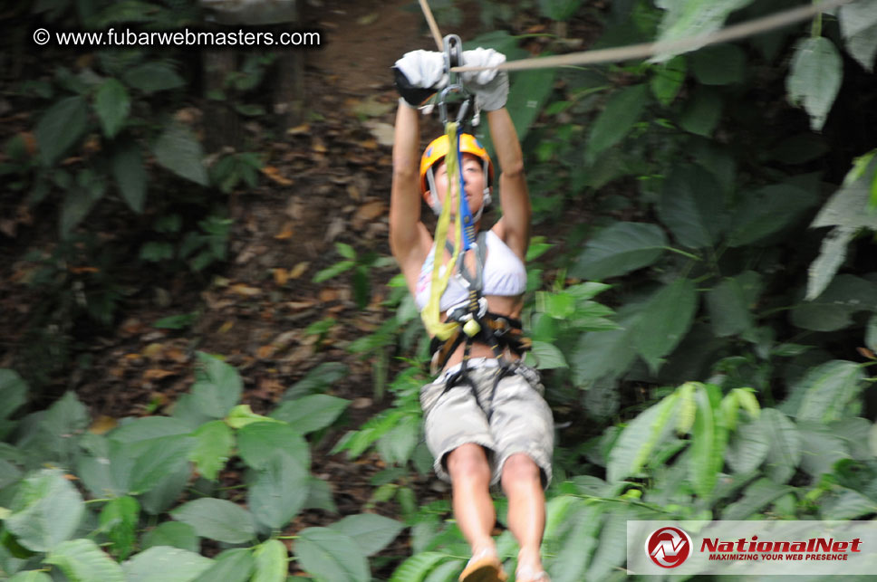 Rainforest Canopy Tours