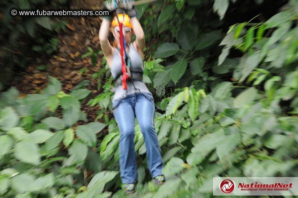 Rainforest Canopy Tours