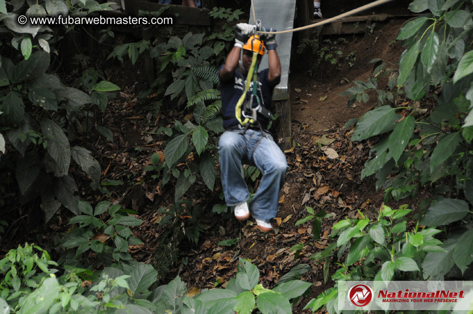 Rainforest Canopy Tours