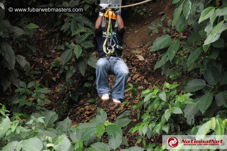 Rainforest Canopy Tours