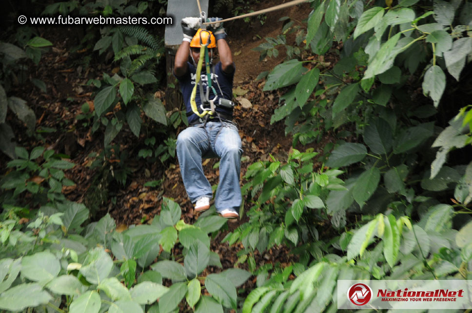 Rainforest Canopy Tours