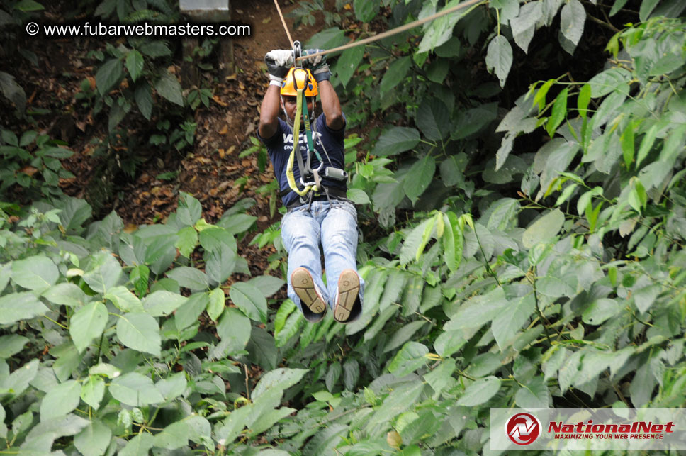 Rainforest Canopy Tours