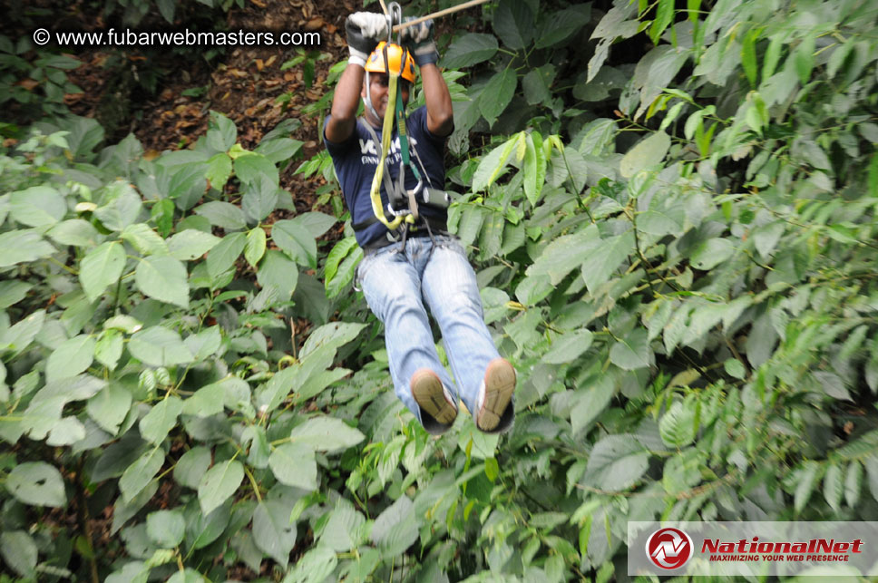 Rainforest Canopy Tours