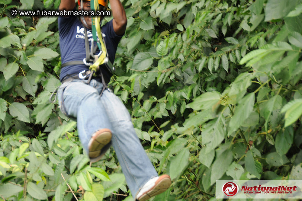 Rainforest Canopy Tours