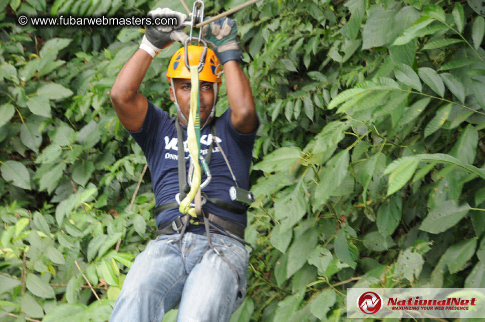 Rainforest Canopy Tours