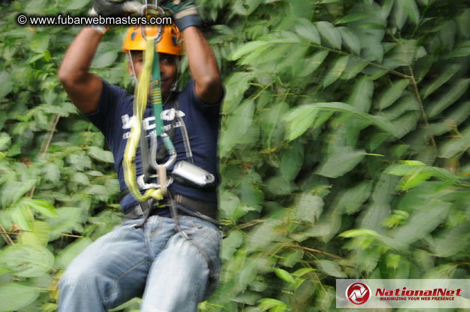 Rainforest Canopy Tours