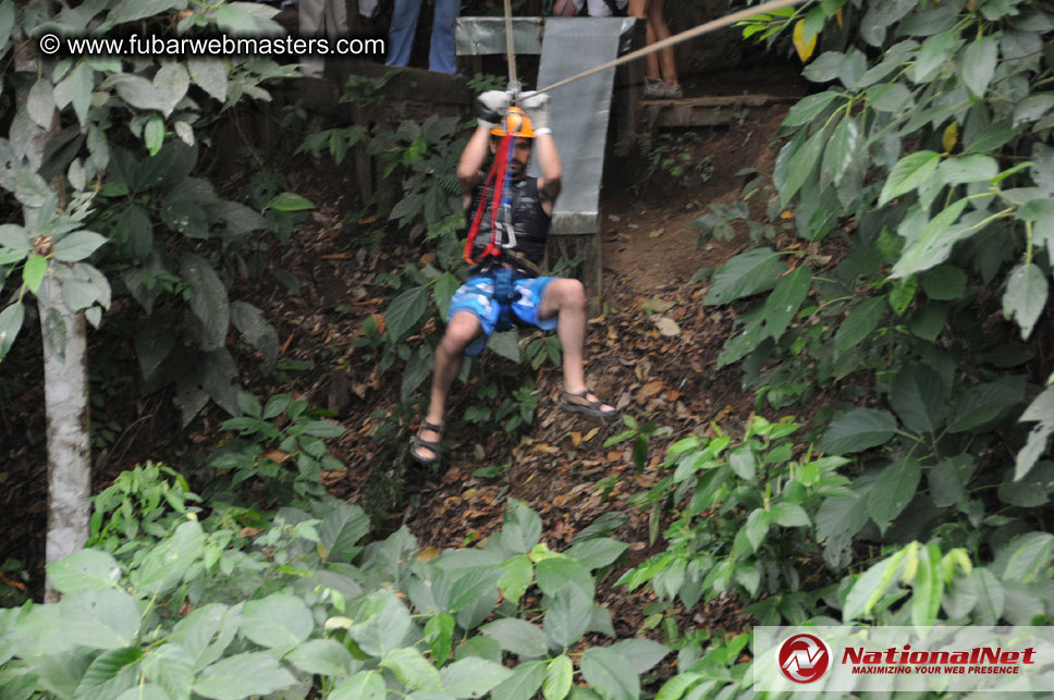 Rainforest Canopy Tours