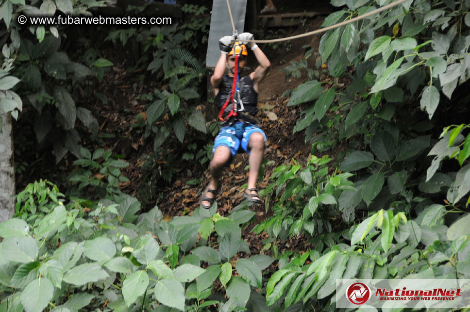 Rainforest Canopy Tours