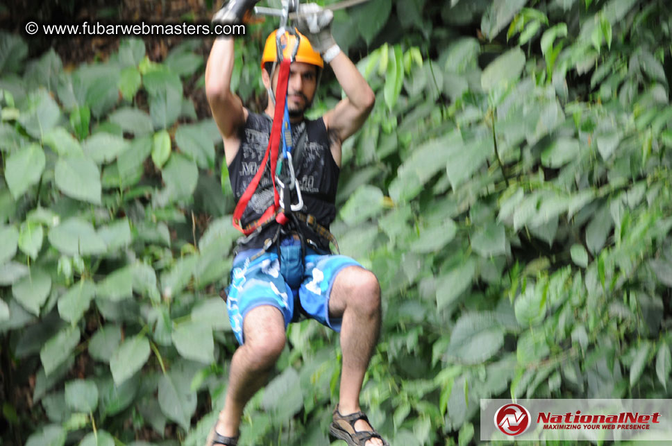 Rainforest Canopy Tours