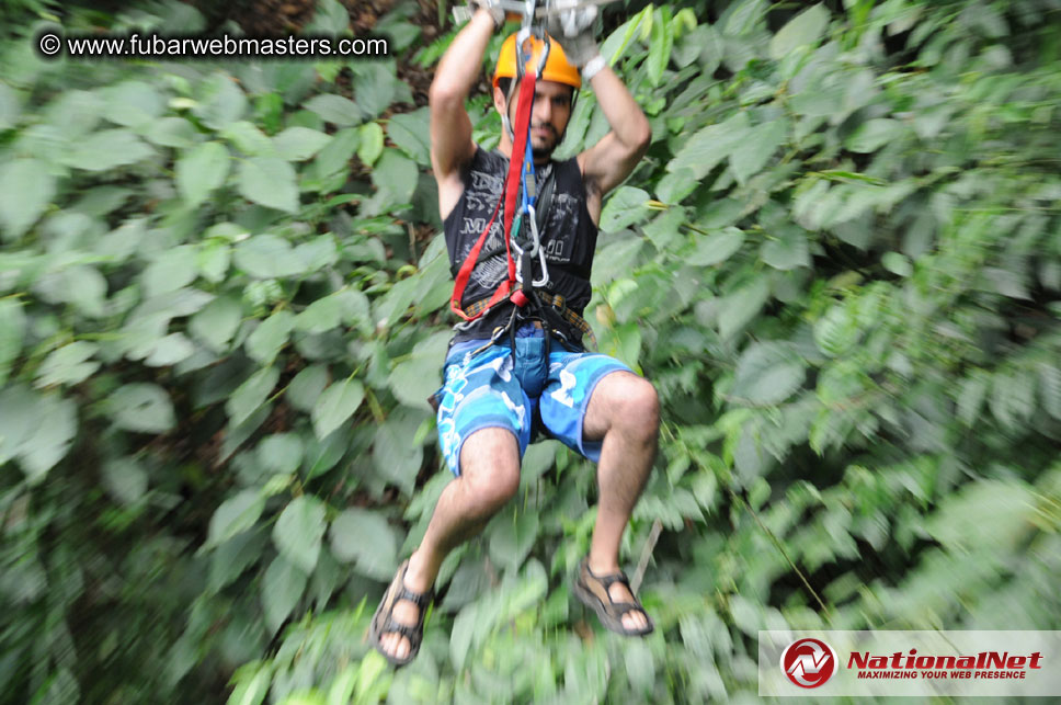 Rainforest Canopy Tours