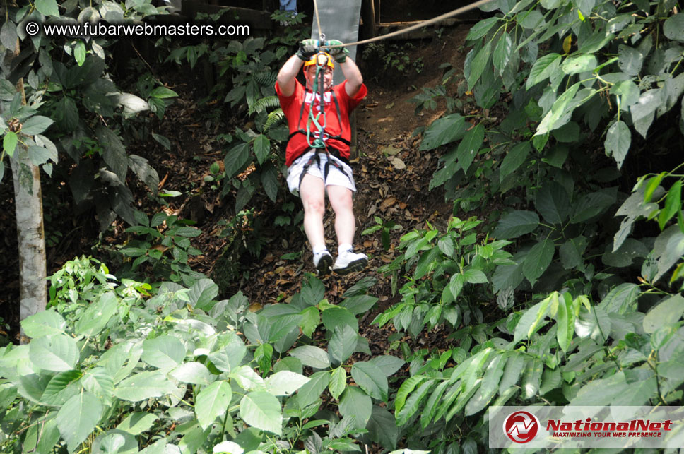 Rainforest Canopy Tours