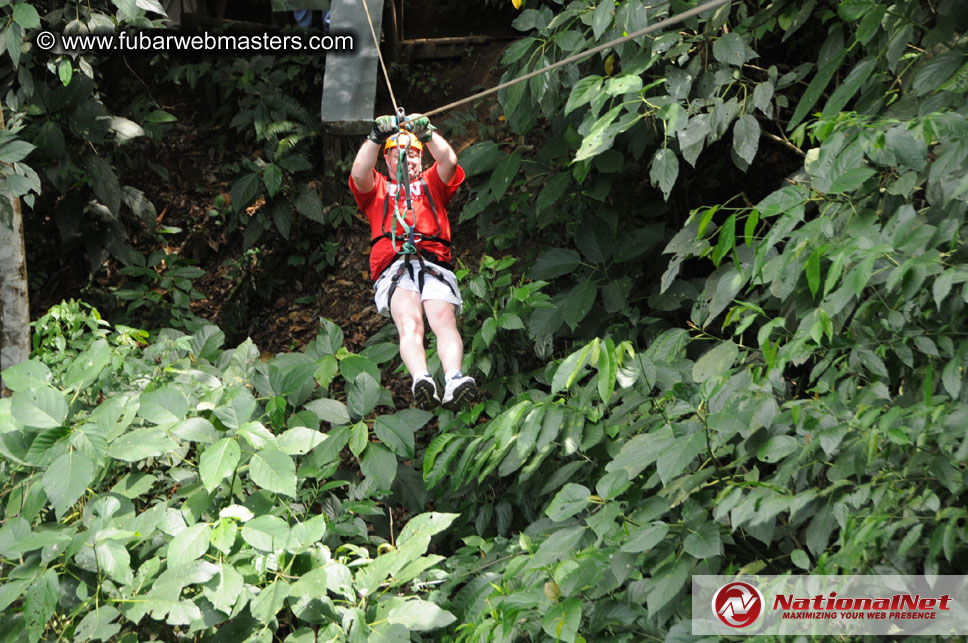 Rainforest Canopy Tours