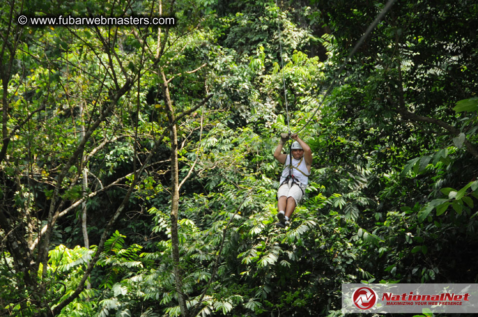 Rainforest Canopy Tours