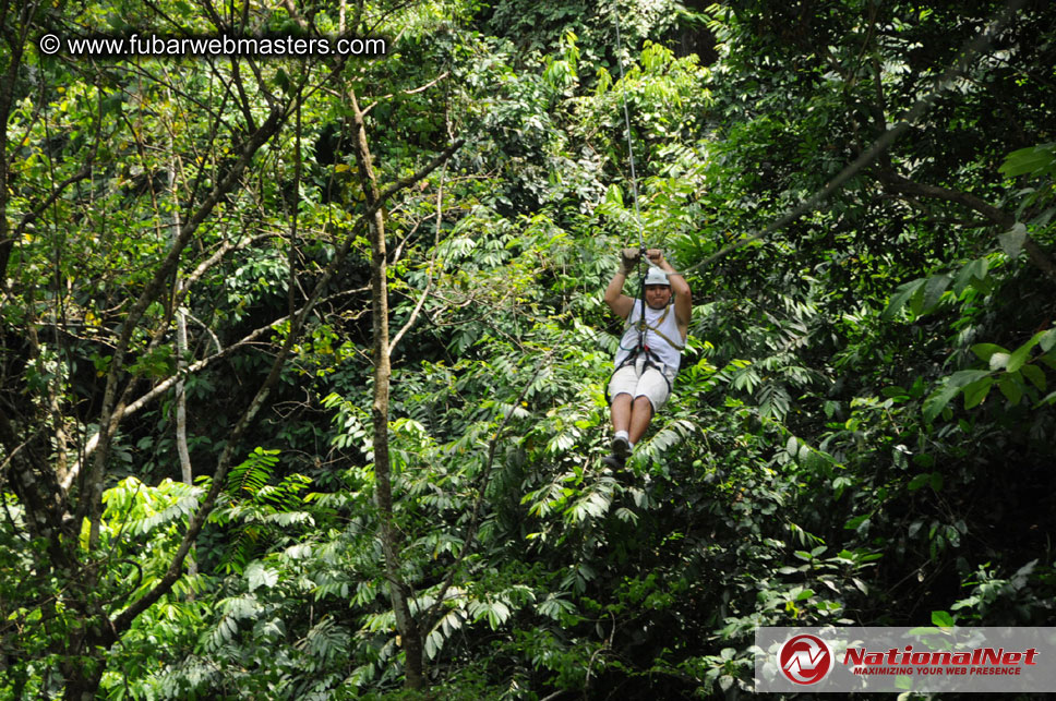 Rainforest Canopy Tours