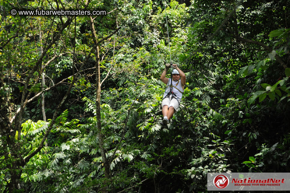 Rainforest Canopy Tours