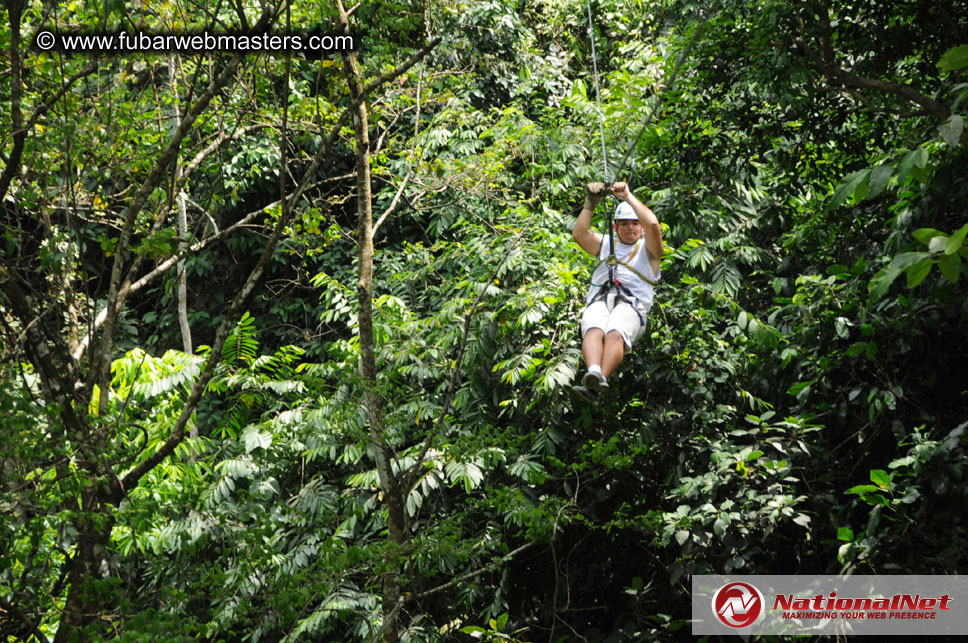 Rainforest Canopy Tours