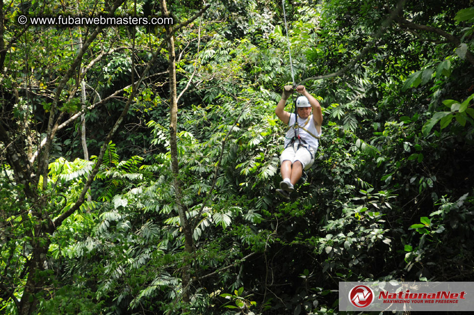 Rainforest Canopy Tours