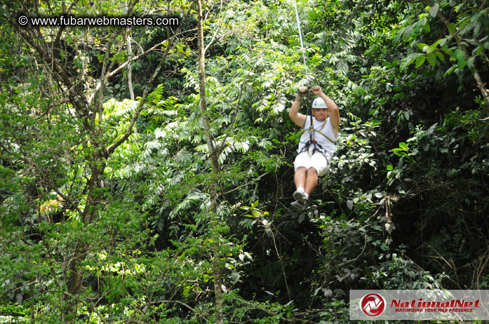 Rainforest Canopy Tours