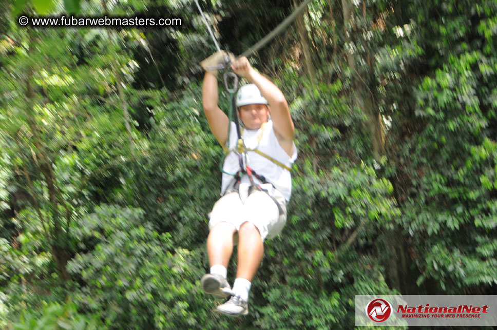 Rainforest Canopy Tours