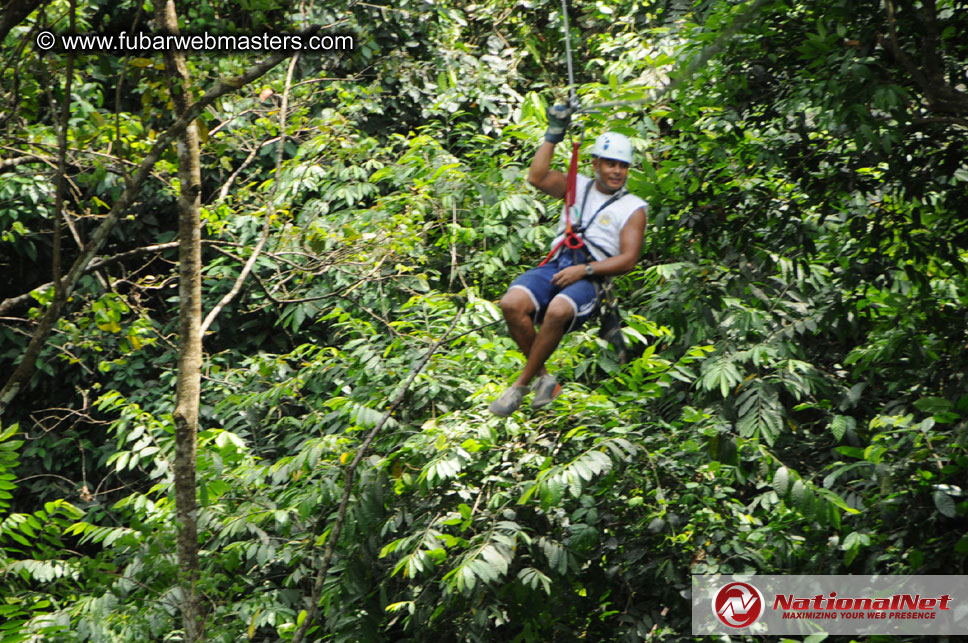 Rainforest Canopy Tours