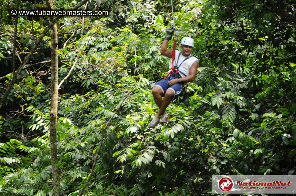 Rainforest Canopy Tours