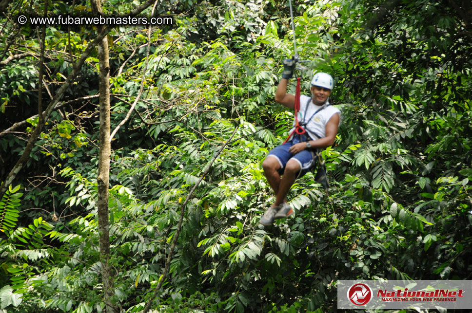 Rainforest Canopy Tours