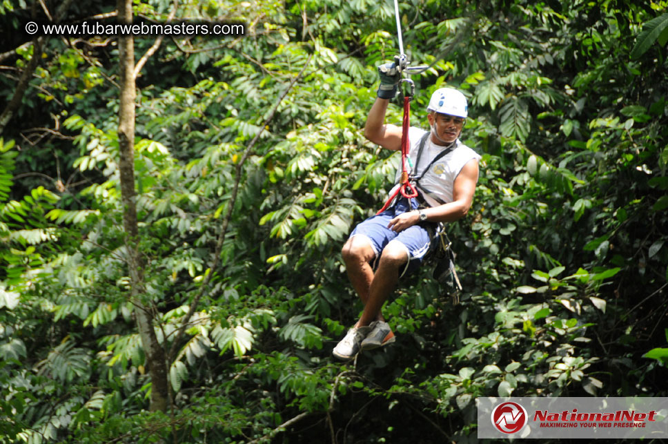 Rainforest Canopy Tours