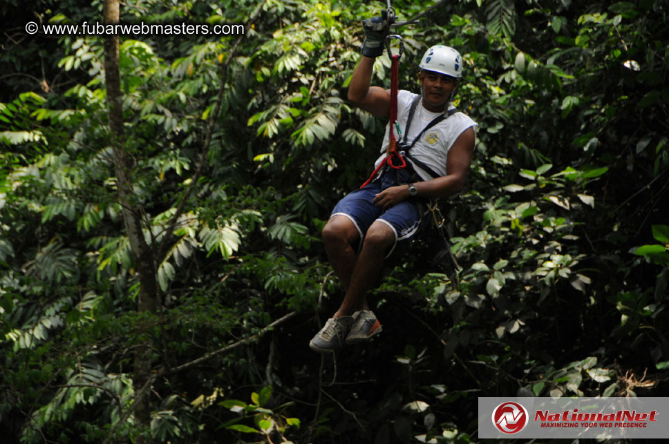 Rainforest Canopy Tours