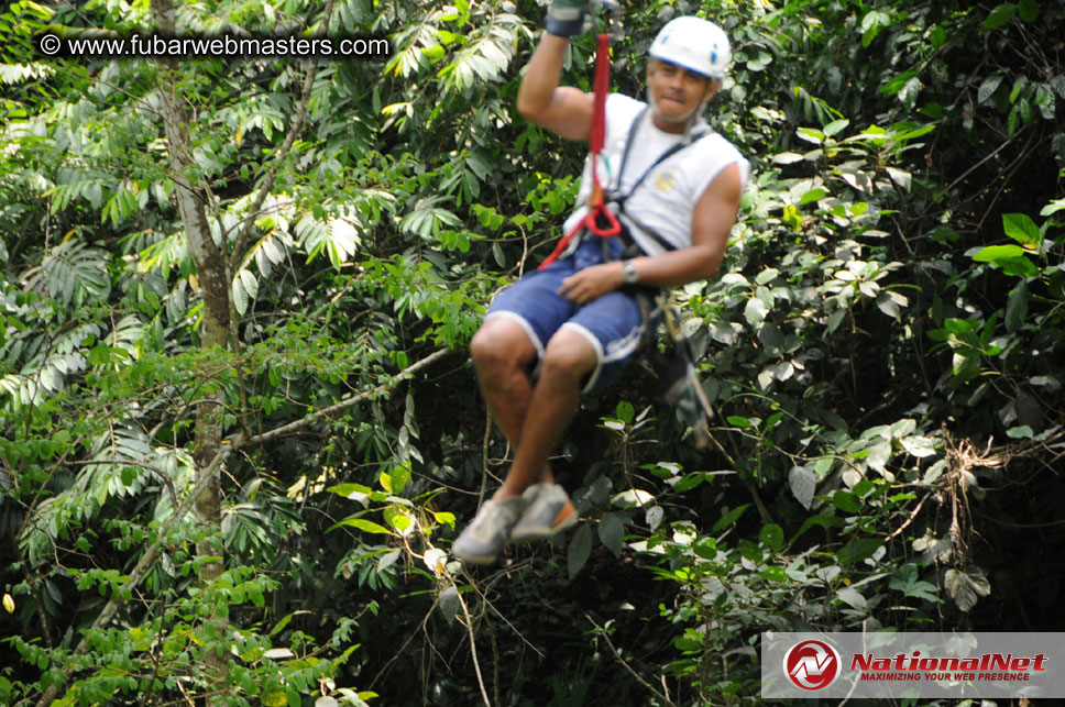 Rainforest Canopy Tours