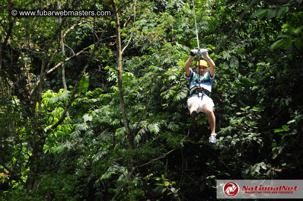 Rainforest Canopy Tours