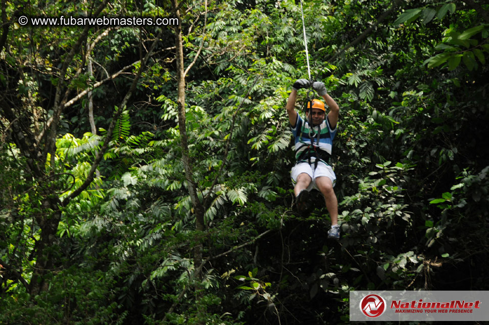 Rainforest Canopy Tours